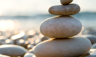 வாழ்க்கைத் துணை.