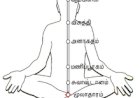குண்டலினி யோகம்.