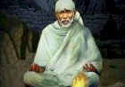 சாயி வளர்த்த துனி!