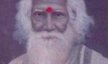 நரசிம்மசுவாமிஜியின் அனுபவம்